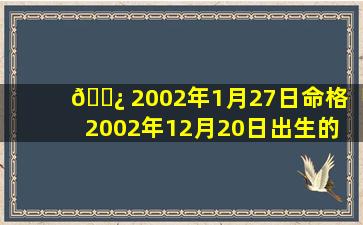 🌿 2002年1月27日命格「2002年12月20日出生的 🌺 人命运」